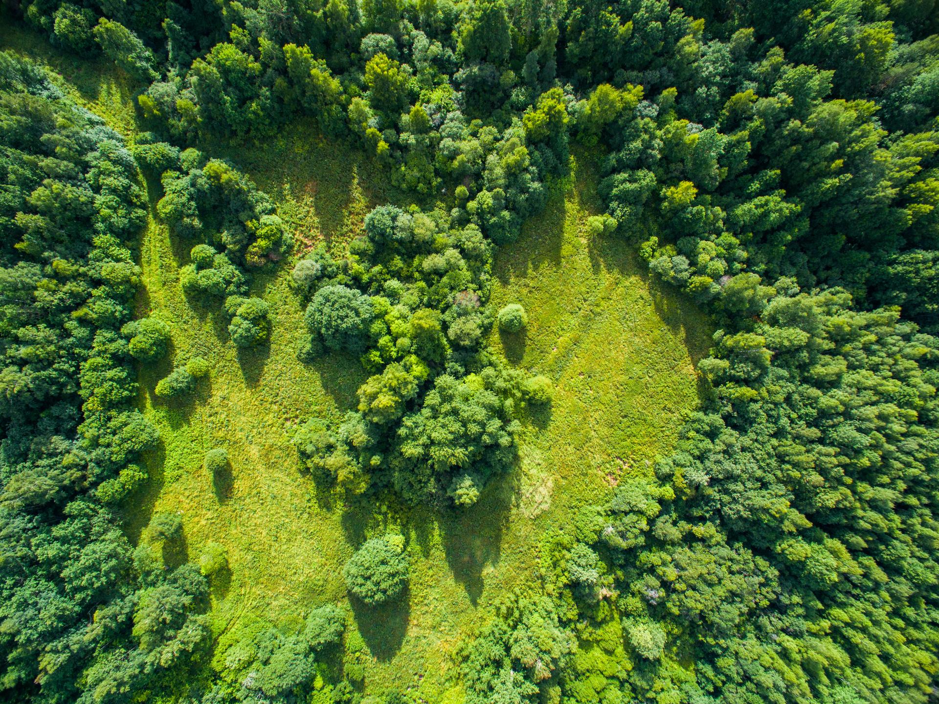 De qué manera la minería puede apoyarse en sus datos para ofrecer una exploración más ecológica