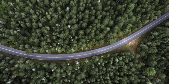 Arial phot over forrest and a winding road going through it.