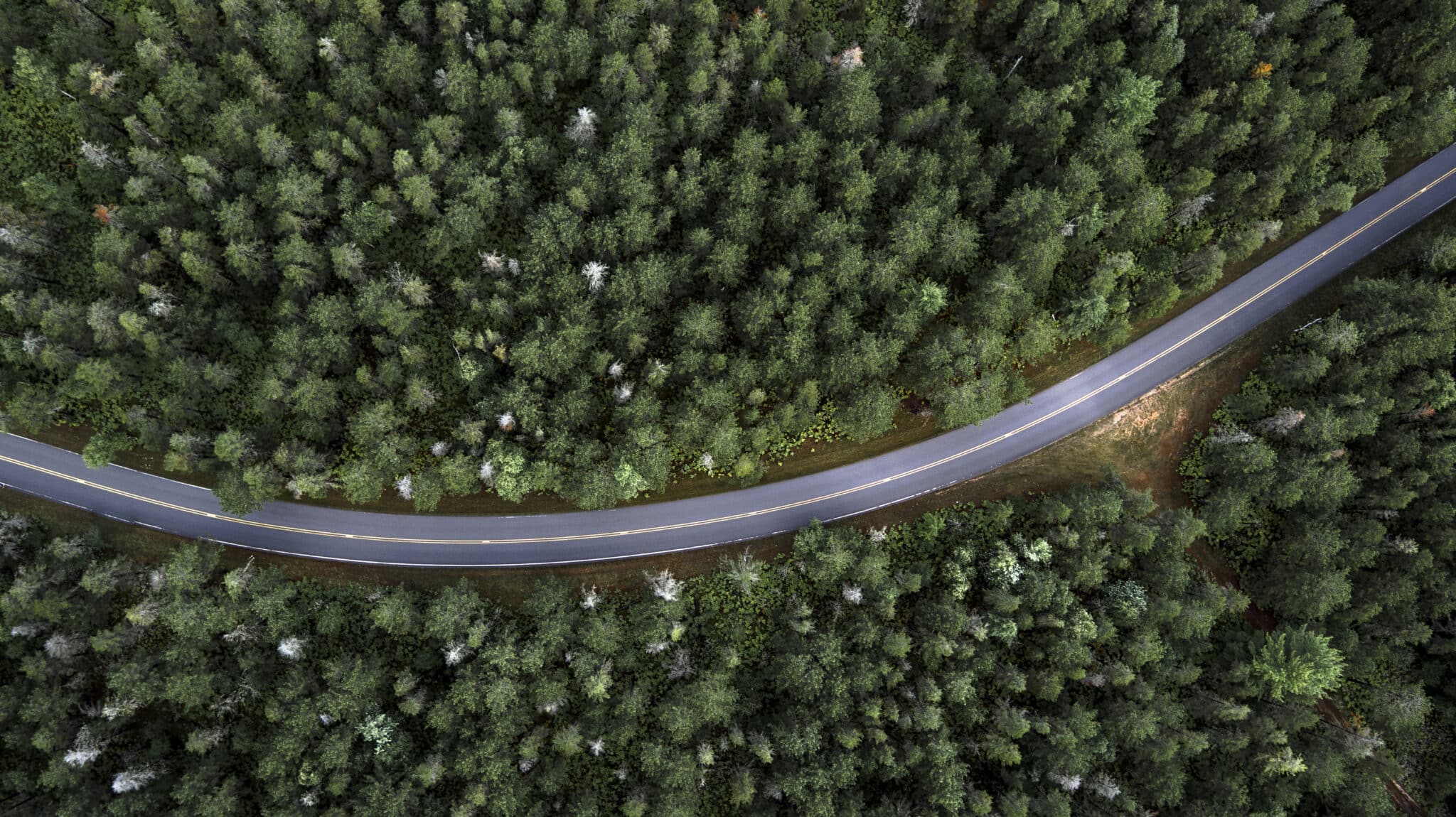 Webinar | Infraestrutura e Obras Lineares: Desafios Geológicos e Geotécnicos