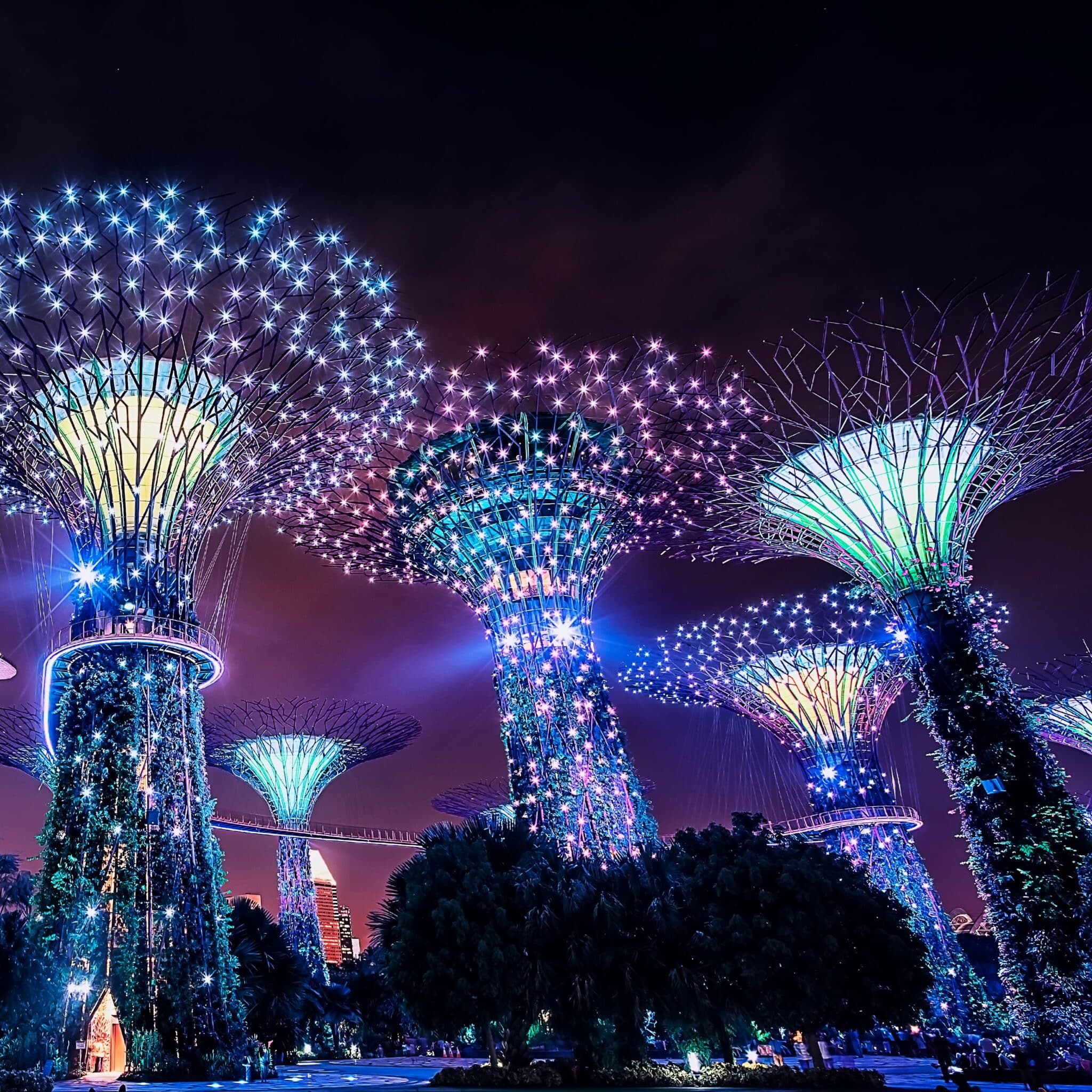 A photograph of the Gardens by the Bay in Singapore