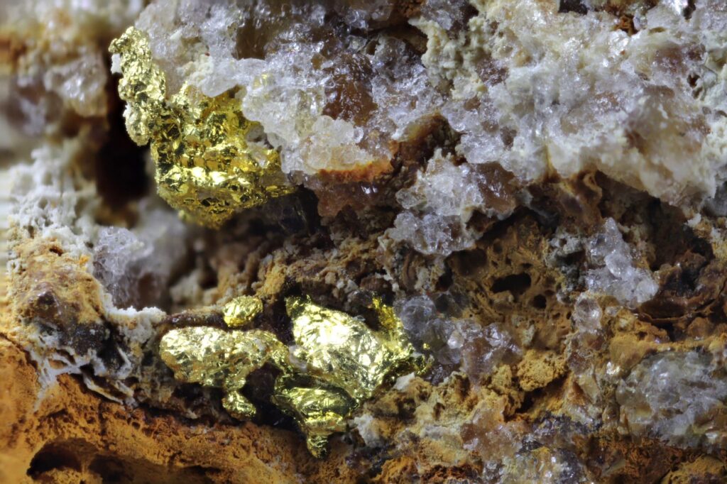 A close-up photo of native gold embedded in a white and brown rock.