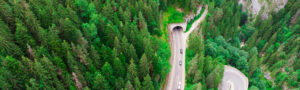 Tunnel through forest