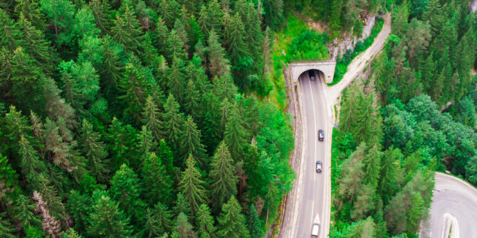Tunnel through forest