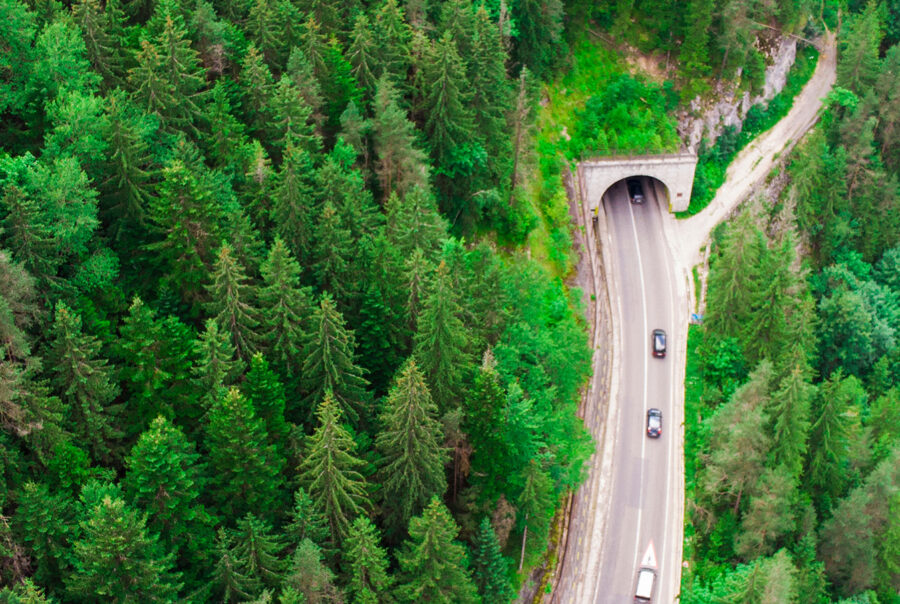 Tunnel through forest