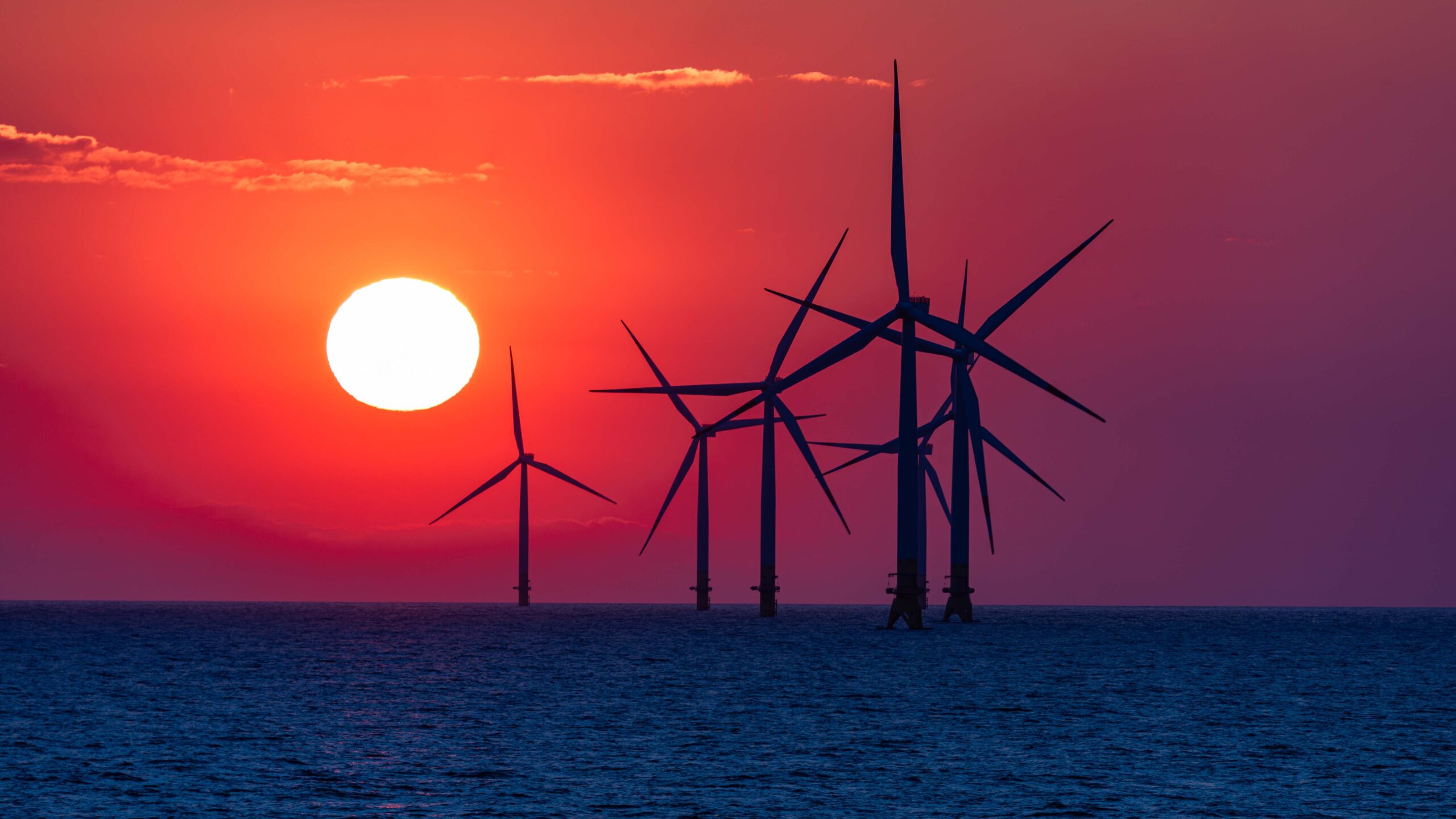 A windfarm at sea